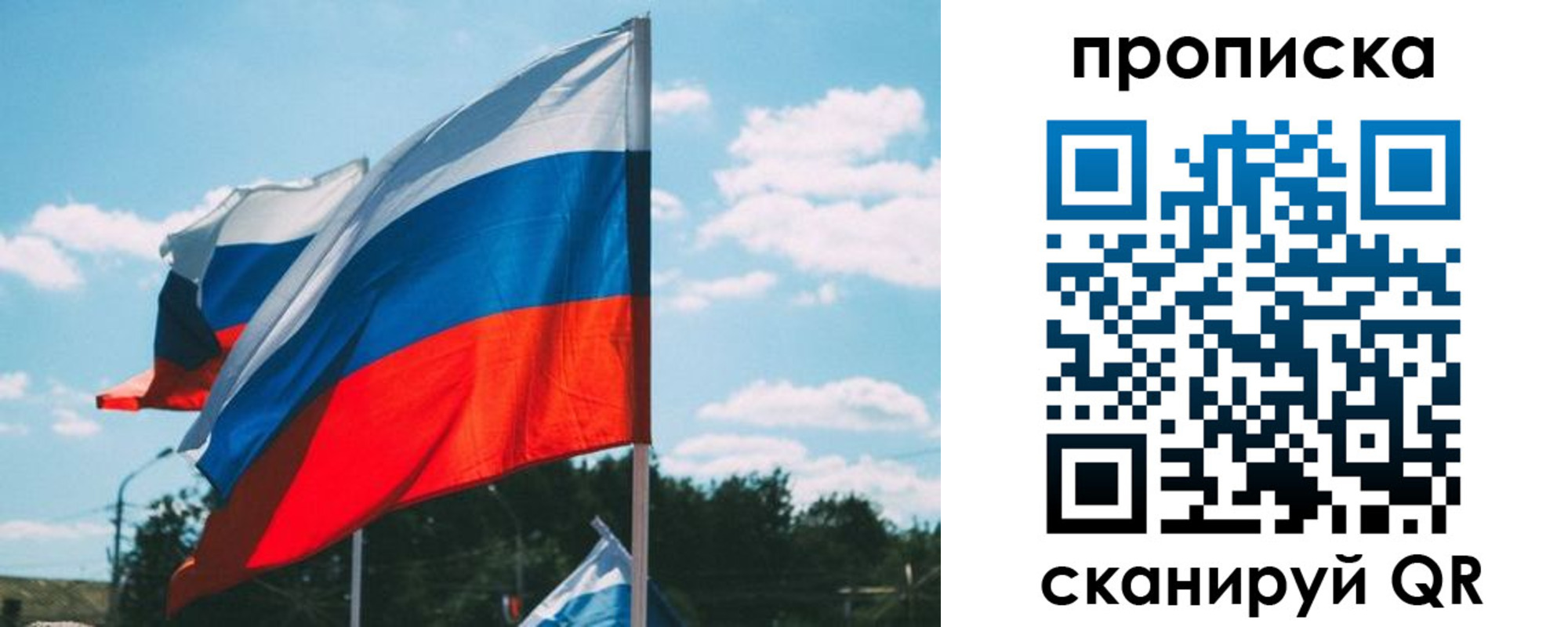 прописка поиск в Зеленогорске